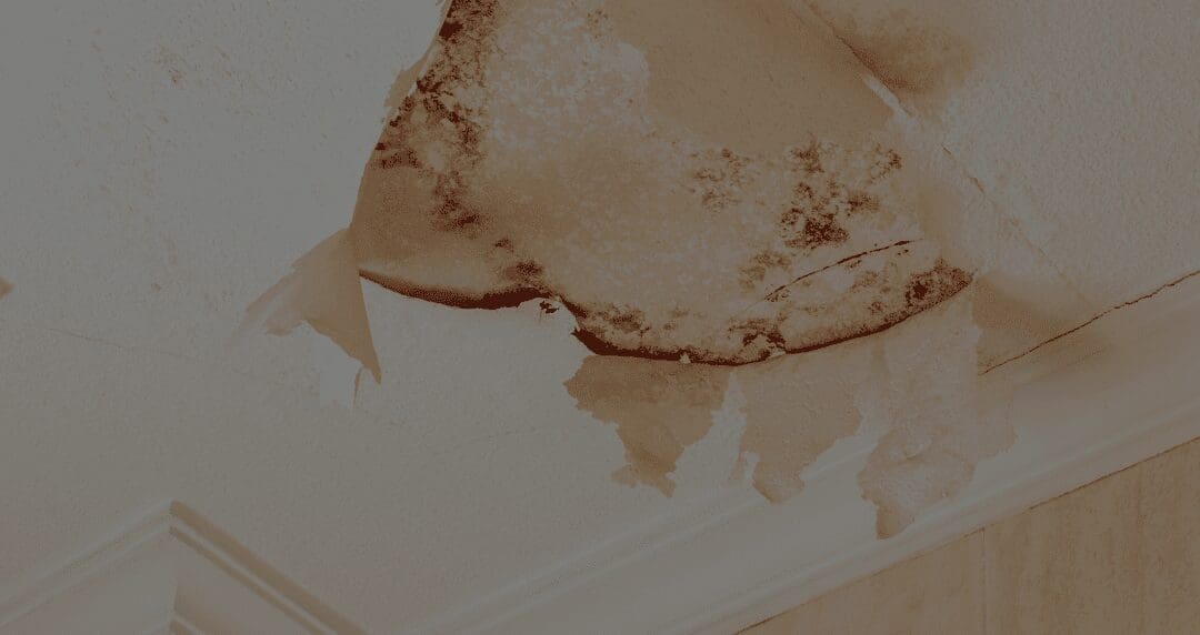 Avoid These 6 Costly Mistakes When Remodeling Your Bathroom